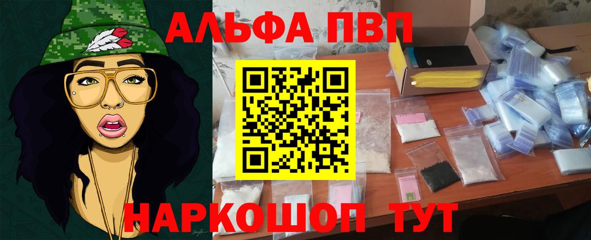 Бошки Шишки Кингисепп