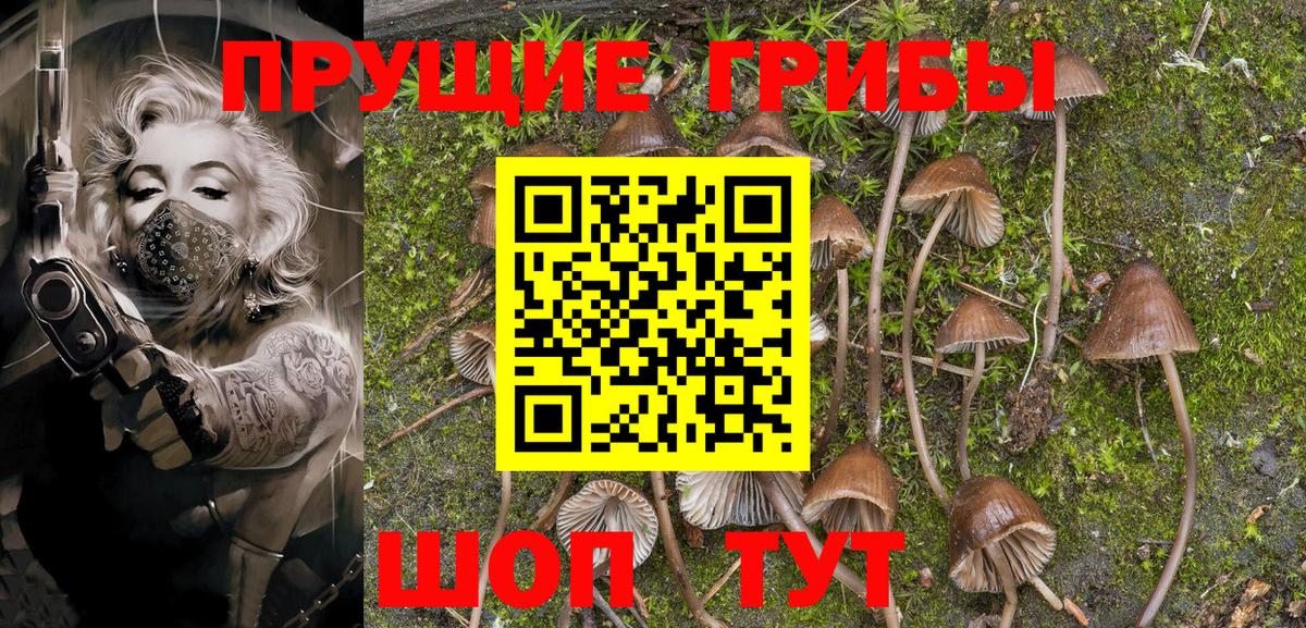 Псилоцибиновые грибы MAGIC MUSHROOMS Кингисепп