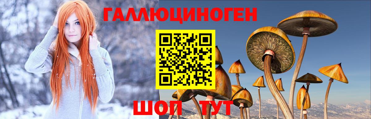 Галлюциногенные грибы Magic Shrooms  Псилоцибиновые грибы MAGIC MUSHROOMS  Кингисепп  Вход с VPN 